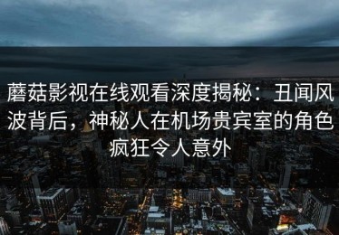 蘑菇影视在线观看深度揭秘：丑闻风波背后，神秘人在机场贵宾室的角色疯狂令人意外
