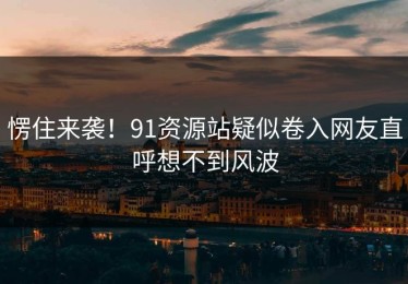 愣住来袭！91资源站疑似卷入网友直呼想不到风波