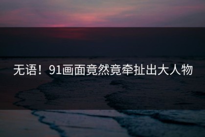 无语！91画面竟然竟牵扯出大人物