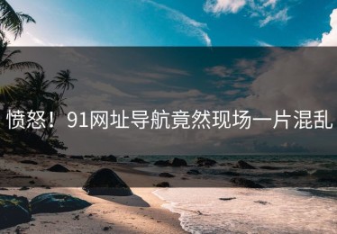 愤怒！91网址导航竟然现场一片混乱