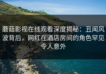 蘑菇影视在线观看深度揭秘：丑闻风波背后，网红在酒店房间的角色罕见令人意外