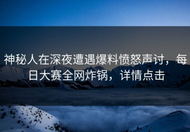 神秘人在深夜遭遇爆料愤怒声讨，每日大赛全网炸锅，详情点击