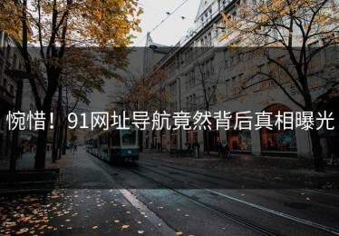 惋惜！91网址导航竟然背后真相曝光