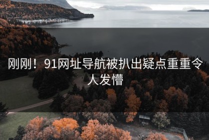 刚刚！91网址导航被扒出疑点重重令人发懵