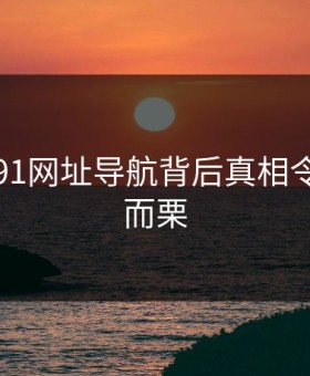 曝光！91网址导航背后真相令人不寒而栗