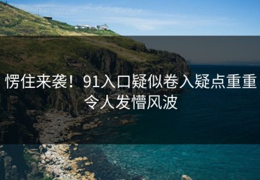 愣住来袭！91入口疑似卷入疑点重重令人发懵风波