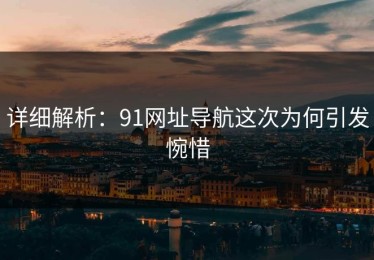 详细解析：91网址导航这次为何引发惋惜