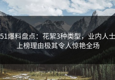 51爆料盘点：花絮3种类型，业内人士上榜理由极其令人惊艳全场