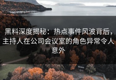 黑料深度揭秘：热点事件风波背后，主持人在公司会议室的角色异常令人意外