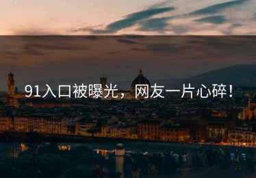 91入口被曝光，网友一片心碎！