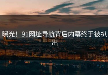 曝光！91网址导航背后内幕终于被扒出