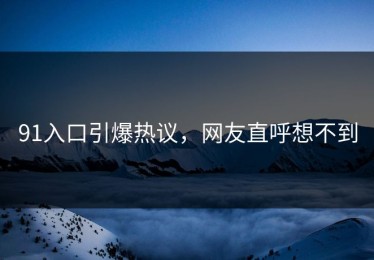 91入口引爆热议，网友直呼想不到