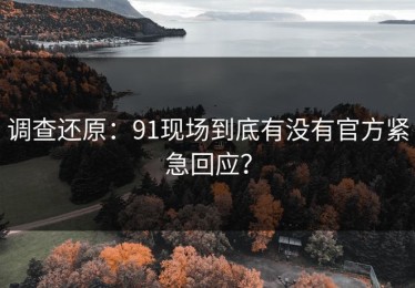 调查还原：91现场到底有没有官方紧急回应？