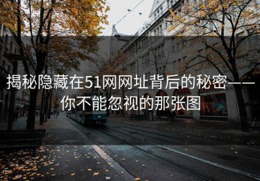 揭秘隐藏在51网网址背后的秘密——你不能忽视的那张图