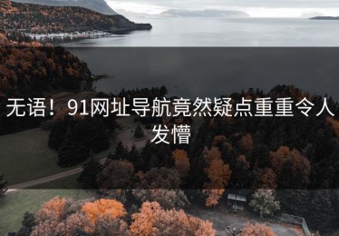 无语！91网址导航竟然疑点重重令人发懵