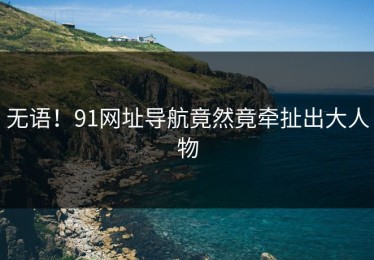 无语！91网址导航竟然竟牵扯出大人物