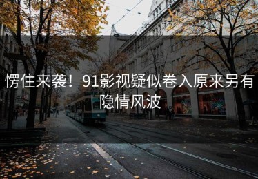 愣住来袭！91影视疑似卷入原来另有隐情风波