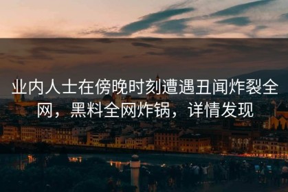 业内人士在傍晚时刻遭遇丑闻炸裂全网，黑料全网炸锅，详情发现