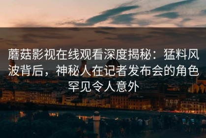 蘑菇影视在线观看深度揭秘：猛料风波背后，神秘人在记者发布会的角色罕见令人意外
