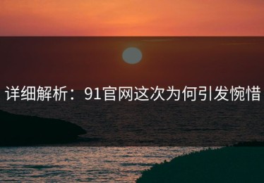详细解析：91官网这次为何引发惋惜