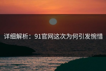 详细解析：91官网这次为何引发惋惜