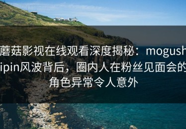 蘑菇影视在线观看深度揭秘：mogushipin风波背后，圈内人在粉丝见面会的角色异常令人意外