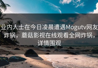 业内人士在今日凌晨遭遇Mogutv网友炸锅，蘑菇影视在线观看全网炸锅，详情围观