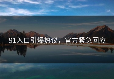 91入口引爆热议，官方紧急回应