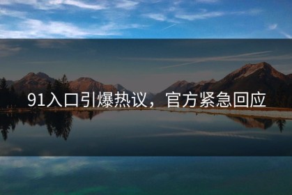 91入口引爆热议，官方紧急回应