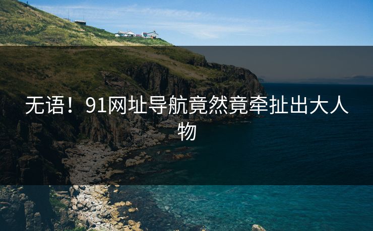 无语！91网址导航竟然竟牵扯出大人物