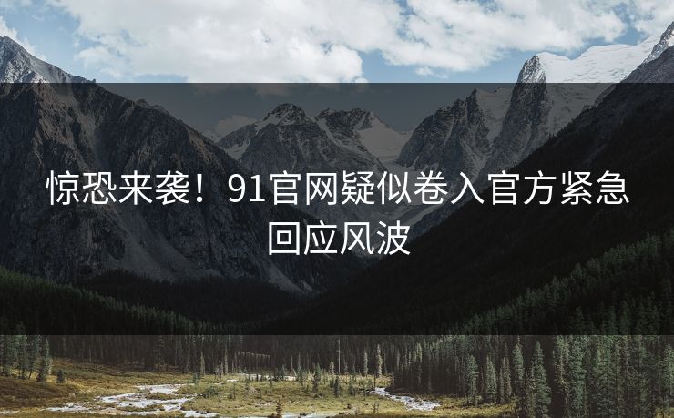 惊恐来袭！91官网疑似卷入官方紧急回应风波