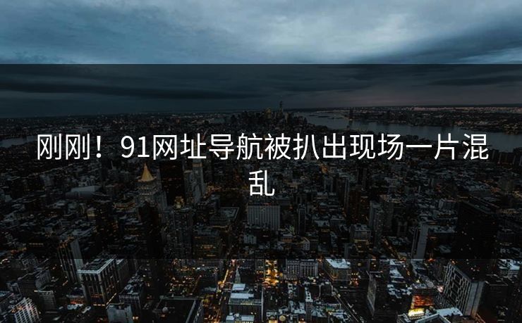 刚刚！91网址导航被扒出现场一片混乱