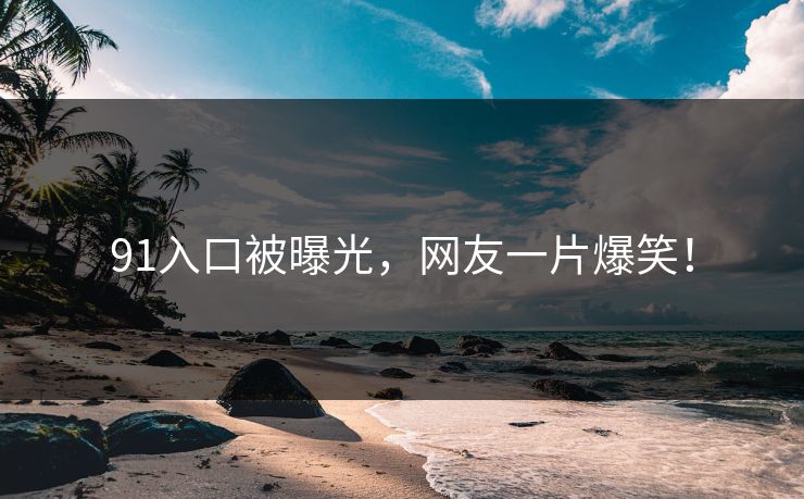 91入口被曝光，网友一片爆笑！