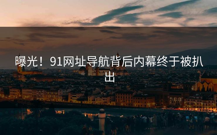 曝光！91网址导航背后内幕终于被扒出