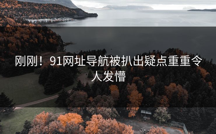 刚刚！91网址导航被扒出疑点重重令人发懵