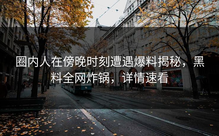 圈内人在傍晚时刻遭遇爆料揭秘，黑料全网炸锅，详情速看