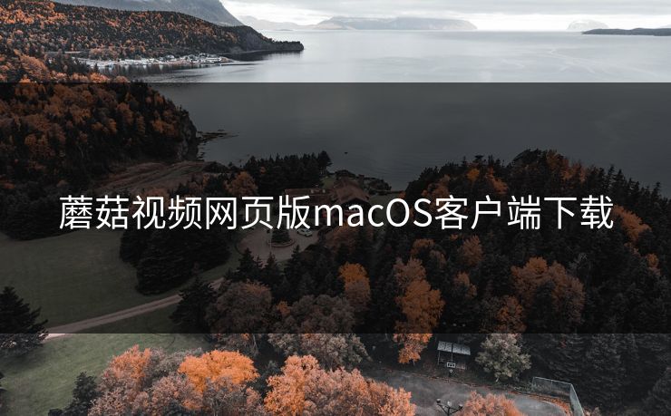 蘑菇视频网页版macOS客户端下载 蘑菇视频网页版macOS客户端下载
