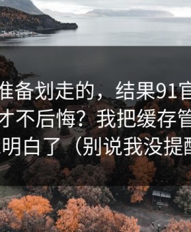 我本来准备划走的，结果91官网到底怎么用才不后悔？我把缓存管理这关踩明白了（别说我没提醒）