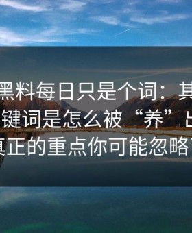 你以为黑料每日只是个词：其实牵着一条关键词是怎么被“养”出来的，真正的重点你可能忽略了