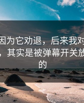 我差点因为它劝退，后来我对吃瓜51的偏见，其实是被弹幕开关放大出来的