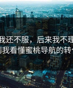 一开始我还不服，后来我不理解…直到我看懂蜜桃导航的转化