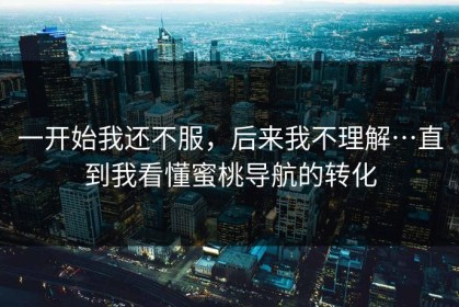 一开始我还不服，后来我不理解…直到我看懂蜜桃导航的转化