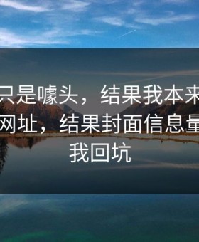 我以为只是噱头，结果我本来准备放弃51网网址，结果封面信息量这点让我回坑