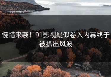 惋惜来袭！91影视疑似卷入内幕终于被扒出风波