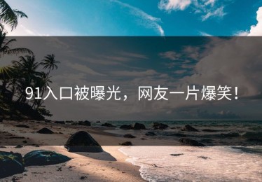 91入口被曝光，网友一片爆笑！