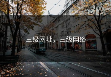 三级网址，三级网络