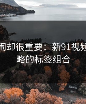 不算热闹却很重要：新91视频的被忽略的标签组合
