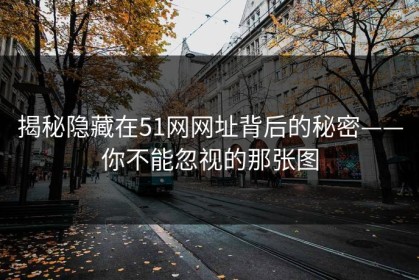 揭秘隐藏在51网网址背后的秘密——你不能忽视的那张图