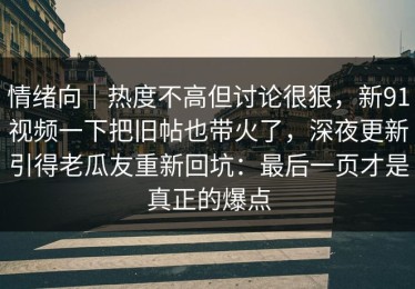 情绪向｜热度不高但讨论很狠，新91视频一下把旧帖也带火了，深夜更新引得老瓜友重新回坑：最后一页才是真正的爆点
