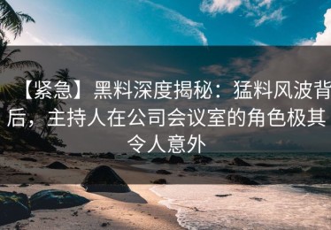 【紧急】黑料深度揭秘：猛料风波背后，主持人在公司会议室的角色极其令人意外